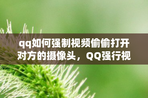 qq如何强制视频偷偷打开对方的摄像头，QQ强行视频，隐私与安全的边界