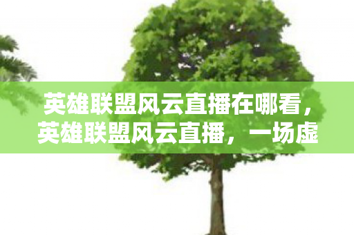 英雄联盟风云直播在哪看，英雄联盟风云直播，一场虚拟世界的盛宴