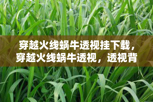 穿越火线蜗牛透视挂下载，穿越火线蜗牛透视，透视背后的真相与反思