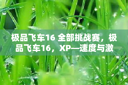 极品飞车16 全部挑战赛，极品飞车16，XP—速度与激情的极致体验