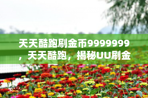 天天酷跑刷金币9999999，天天酷跑，揭秘UU刷金币的真相与风险