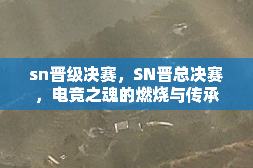 sn晋级决赛，SN晋总决赛，电竞之魂的燃烧与传承