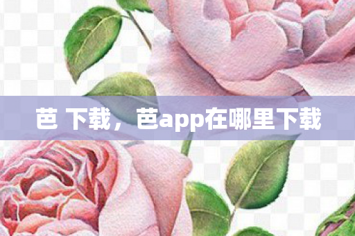 芭 下载，芭app在哪里下载