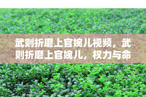 武则折磨上官婉儿视频，武则折磨上官婉儿，权力与命运的交织