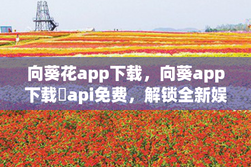 向葵花app下载，向葵app下载汅api免费，解锁全新娱乐体验