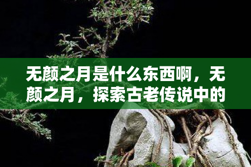 无颜之月是什么东西啊，无颜之月，探索古老传说中的神秘面纱