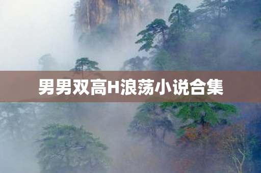 男男双高H浪荡小说合集