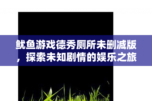 鱿鱼游戏德秀厕所未删减版，探索未知剧情的娱乐之旅
