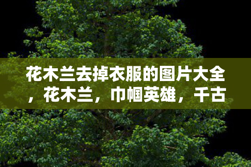 花木兰去掉衣服的图片大全，花木兰，巾帼英雄，千古传奇