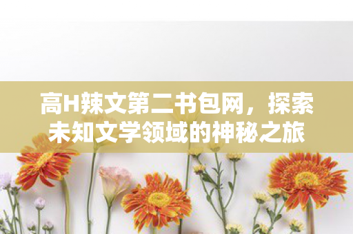 高H辣文第二书包网，探索未知文学领域的神秘之旅