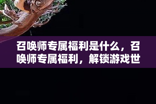 召唤师专属福利是什么，召唤师专属福利，解锁游戏世界的无限可能