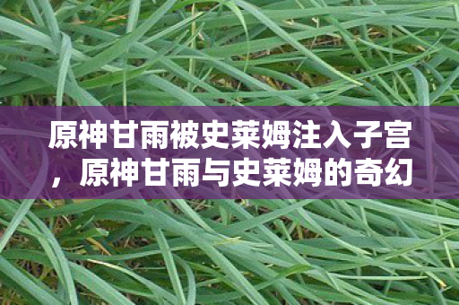 原神甘雨被史莱姆注入子宫，原神甘雨与史莱姆的奇幻之旅，探索未知的天空