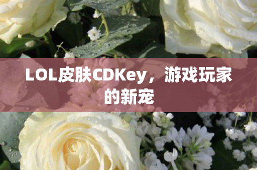 LOL皮肤CDKey，游戏玩家的新宠