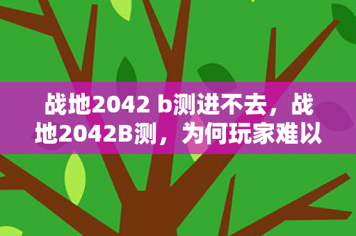 战地2042 b测进不去，战地2042B测，为何玩家难以进入测试？