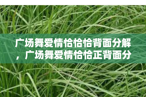 广场舞爱情恰恰恰背面分解，广场舞爱情恰恰正背面分解教学