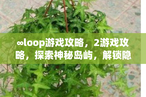 ∞loop游戏攻略，2游戏攻略，探索神秘岛屿，解锁隐藏成就