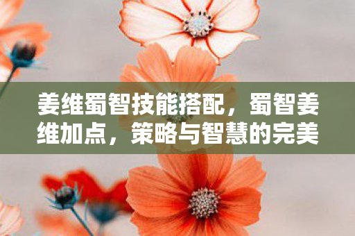 姜维蜀智技能搭配，蜀智姜维加点，策略与智慧的完美结合