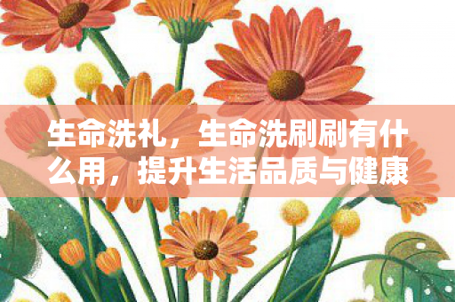 生命洗礼，生命洗刷刷有什么用，提升生活品质与健康的秘密武器