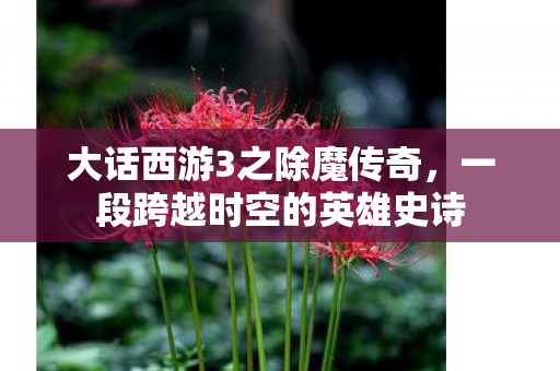 大话西游3之除魔传奇,一段跨越时空的英雄史诗 大话西游3之除魔传奇,一段跨越时空的英雄史诗