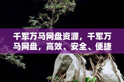 千军万马网盘资源,千军万马网盘,高效、安全、便捷的云存储解决方案 千军万马网盘资源,千军万马网盘,高效、安全、便捷的云存储解决方案