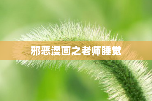 邪恶漫画之老师睡觉