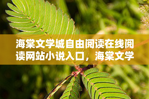 海棠文学城自由阅读在线阅读网站小说入口，海棠文学城自由阅读，探索文学世界的无限可能