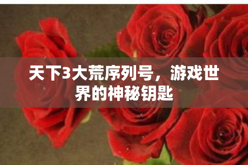 天下3大荒序列号,游戏世界的神秘钥匙 天下3大荒序列号,游戏世界的神秘钥匙