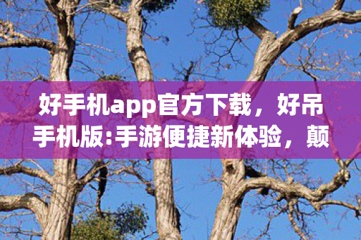 好手机app官方下载,好吊手机版:手游便捷新体验,颠覆传统游戏模式 好手机app官方下载,好吊手机版:手游便捷新体验,颠覆传统游戏模式