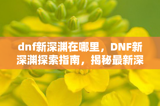 dnf新深渊在哪里，DNF新深渊探索指南，揭秘最新深渊副本位置与攻略