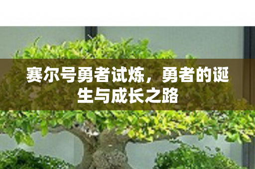 赛尔号勇者试炼，勇者的诞生与成长之路