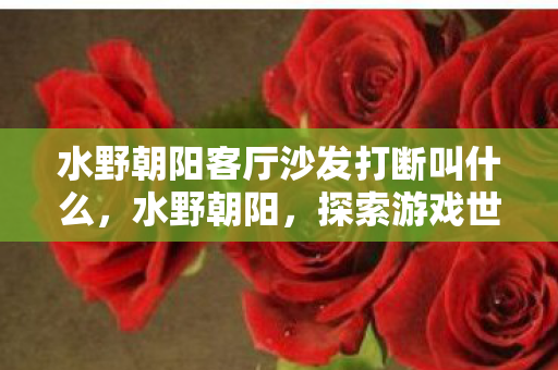 水野朝阳客厅沙发打断叫什么，水野朝阳，探索游戏世界的无限可能