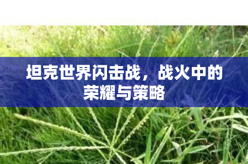 坦克世界闪击战，战火中的荣耀与策略