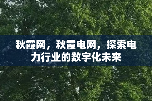 秋霞网,秋霞电网,探索电力行业的数字化未来 秋霞网,秋霞电网,探索电力行业的数字化未来