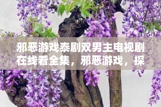 邪恶游戏泰剧双男主电视剧在线看全集，邪恶游戏，探索未知与道德的边界