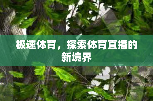 极速体育,探索体育直播的新境界 极速体育,探索体育直播的新境界