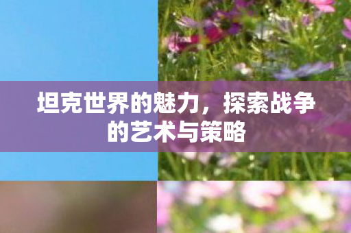 坦克世界的魅力，探索战争的艺术与策略