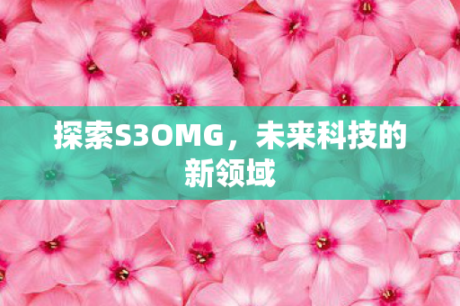 探索S3OMG，未来科技的新领域