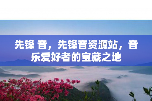先锋 音，先锋音资源站，音乐爱好者的宝藏之地