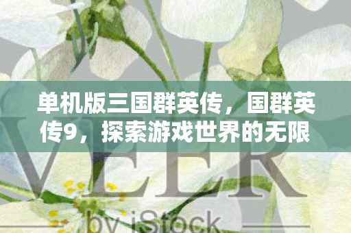 单机版三国群英传，国群英传9，探索游戏世界的无限可能