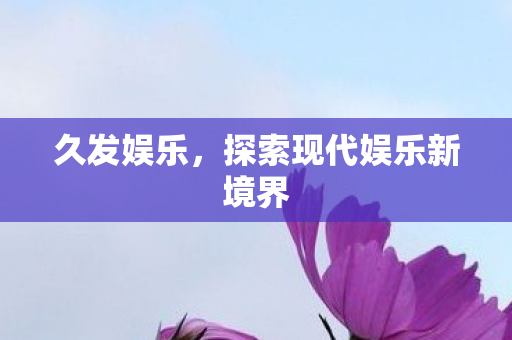 久发娱乐，探索现代娱乐新境界