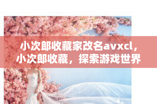 小次郎收藏家改名avxcl，小次郎收藏，探索游戏世界的独特魅力