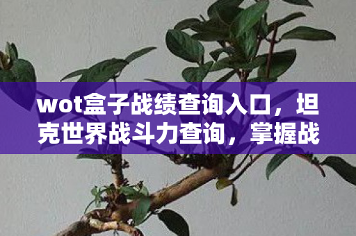 wot盒子战绩查询入口，坦克世界战斗力查询，掌握战场主动权的关键
