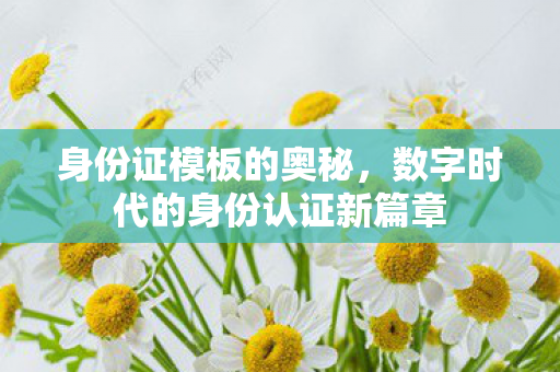身份证模板的奥秘，数字时代的身份认证新篇章