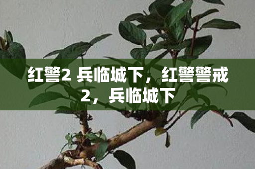 红警2 兵临城下，红警警戒2，兵临城下