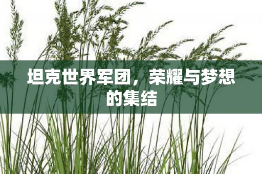 坦克世界军团，荣耀与梦想的集结