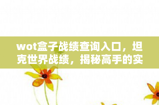 wot盒子战绩查询入口，坦克世界战绩，揭秘高手的实战智慧