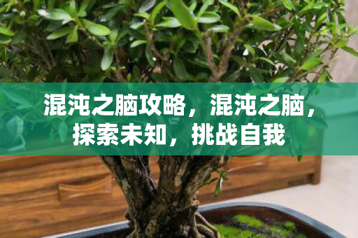 混沌之脑攻略,混沌之脑,探索未知,挑战自我 混沌之脑攻略,混沌之脑,探索未知,挑战自我