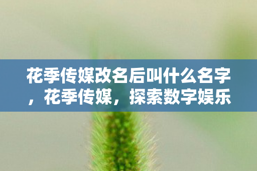 花季传媒改名后叫什么名字，花季传媒，探索数字娱乐的新边界