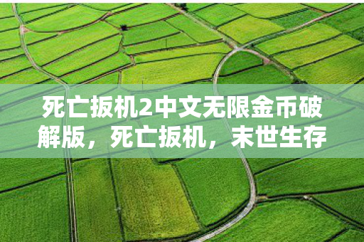 死亡扳机2中文无限金币破解版，死亡扳机，末世生存的挑战与策略