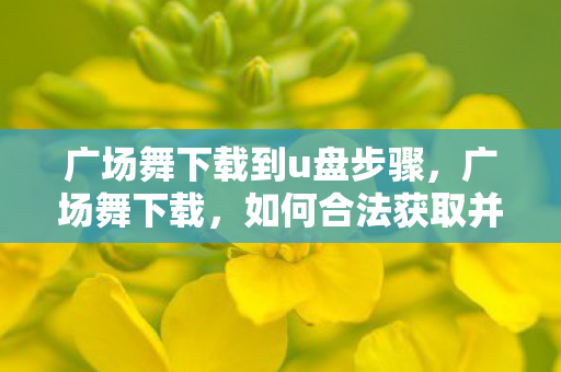 广场舞下载到u盘步骤，广场舞下载，如何合法获取并享受舞蹈的乐趣